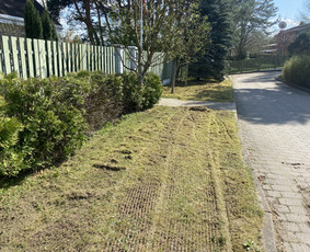 Vaismedžių genėjimas.aeracija. Gyvatvorių karpymas. Malkos. / Rolandas Surdokas / Darbų pavyzdys ID 2730777