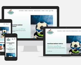 Programavimas su WordPress - Interneto svetainių, el.parduotuvių kūrimas - 4