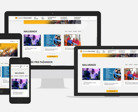 Interneto svetainių kūrimas - Interneto svetainių, el.parduotuvių kūrimas - 3