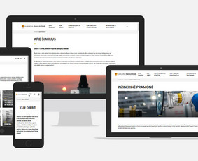 Interneto svetainių kūrimas - Interneto svetainių, el.parduotuvių kūrimas - 2