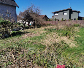 Visi griovimo-kasimo,išvežimo darbai / Tomas / Darbų pavyzdys ID 2731989