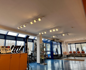Šviestuvų, veidrodžių gamyba, pardavimas, restauravimas / MB "Bright Solutions" / Darbų pavyzdys ID 2732859