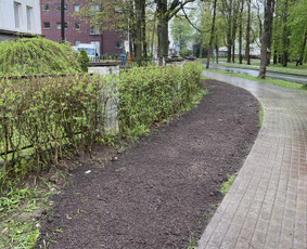 Žolės pjovimas / Aplinkos priežiūros darbai - Vejos įrengimas: sėjimas, ruloninė veja - 1 Vejos įrengimas: sėjimas, ruloninė veja - Žolės pjovimas / Aplinkos priežiūros darbai - 1