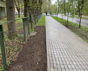 Žolės pjovimas / Aplinkos priežiūros darbai / Daimonas Ambrazas / Darbų pavyzdys ID 2733319