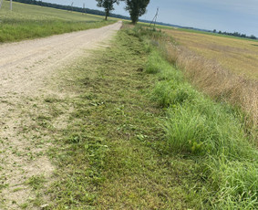 Žolės pjovimas / Aplinkos priežiūros darbai / Daimonas Ambrazas / Darbų pavyzdys ID 2733327