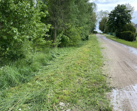 Žolės pjovimas / Aplinkos priežiūros darbai / Daimonas Ambrazas / Darbų pavyzdys ID 2733331