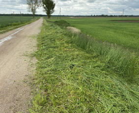 Žolės pjovimas / Aplinkos priežiūros darbai / Daimonas Ambrazas / Darbų pavyzdys ID 2733339