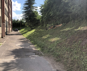 Žolės pjovimas / Aplinkos priežiūros darbai / Daimonas Ambrazas / Darbų pavyzdys ID 2733343
