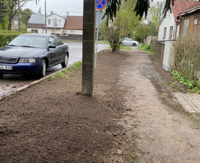 Žolės pjovimas / Aplinkos priežiūros darbai / Daimonas Ambrazas / Darbų pavyzdys ID 2733351
