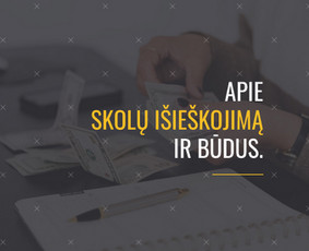 Skolų išieškojimo paslaugos - Profesionalios teisinės paslaugos / Legal services - 1