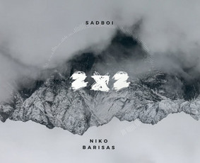 Muzikos prodiusavimas, dainų rašymas, garso suvedimas / Artiomas Penkevičius / Darbų pavyzdys ID 491243