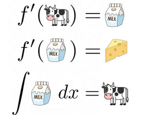 Matematikos mokytojas / 6 Vbe šimtukai / 6–12 klasės / Aleksejus Kurilčik / Darbų pavyzdys ID 2735019