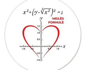 Matematikos mokytojas / 6 Vbe šimtukai / 6–12 klasės / Aleksejus Kurilčik / Darbų pavyzdys ID 2735025
