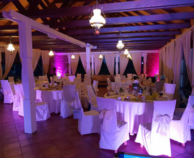 Vedėjas/dj viename - All inclusive / Edgaras Bomblauskas / Darbų pavyzdys ID 491385
