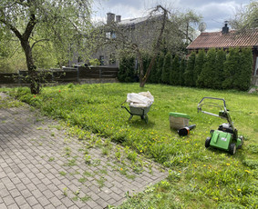 Vaismedžių genėjimas - Vaismedžių genėjimas.aeracija. Gyvatvorių karpymas. Malkos. - 4