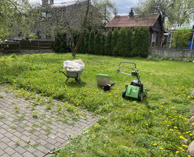 Vaismedžių genėjimas - Vaismedžių genėjimas.aeracija. Gyvatvorių karpymas. Malkos. - 3
