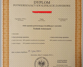 Nebrangiai Ang Rus Swe Nor Gru Ukr Dan. Tekstų konvertavimas - Vertimas raštu lenkų kalba - 1 Vertimas raštu lenkų kalba - Nebrangiai Ang Rus Swe Nor Gru Ukr Dan. Tekstų konvertavimas - 1