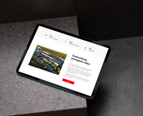 Svetainių dizainas (web design) - Web dizainas / Vizualinis Identitetas - 2