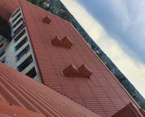 Stogu dengimas,renovacija. / Nerijus / Darbų pavyzdys ID 2737193
