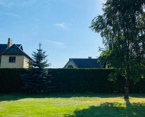 Gyvatvorių karpymas - Vejos įrengimas,gyvatvorių karpymas ir kiti gerbuvio darbai - 3