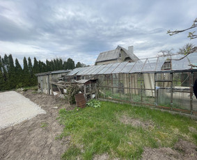 Griovimo darbai, šiukšliu išvežimas! / Domantas / Darbų pavyzdys ID 2738987