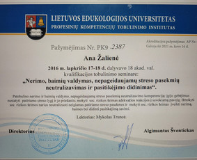 Profesionali psichologinė pagalba Vilniuje ir internetu / Ana Žalienė / Darbų pavyzdys ID 2740735