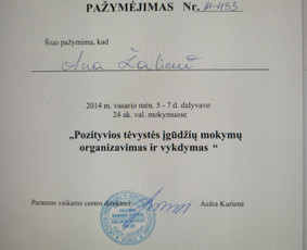Profesionali psichologinė pagalba Vilniuje ir internetu / Ana Žalienė / Darbų pavyzdys ID 2740743