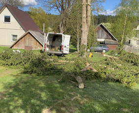 Arboristo Paslaugos.avarinių medžių pjovimas-aplinkos darbai / Rolandas Surdokas / Darbų pavyzdys ID 2742593