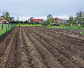 Žemės frezavimas - Žolės, pievų pjovimas,mulčiavimas. - 3