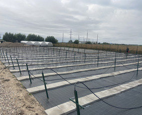 Laistymo sistemos, įrengimas - Laistymo sistemos įrengimas - 2