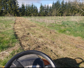 Visi aplinkos tvarkymo darbai: žolės sėjimas, pjovimas,aer. / Renatas / Darbų pavyzdys ID 2746743