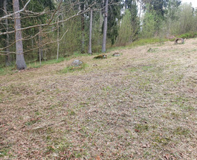 Visi aplinkos tvarkymo darbai: žolės sėjimas, pjovimas,aer. / Renatas / Darbų pavyzdys ID 2746751