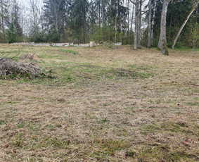 Visi aplinkos tvarkymo darbai: žolės sėjimas, pjovimas,aer. / Renatas / Darbų pavyzdys ID 2746755