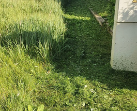 Visi aplinkos tvarkymo darbai: žolės sėjimas, pjovimas,aer. / Renatas / Darbų pavyzdys ID 2746761