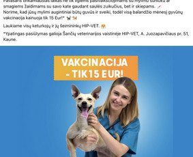 Pranešimai žiniasklaidai, komunikacija, Linkedin tekstai / Eglė Labukaitė / Darbų pavyzdys ID 2746779