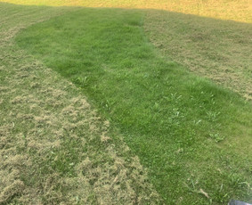 Vejos aeravimas - Vejos pjovimas-aplinkos priežiūra, tvarkymas. - 3