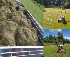 Vejos aeravimas - Vejos pjovimas-aplinkos priežiūra, tvarkymas. - 2