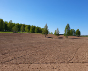 Vejos įrengimas, paruošimas, frezavimas, grėblys, paruošėjas / Mb Šiaurės Kasyba / Darbų pavyzdys ID 2747515