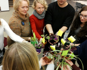 Meno terapija - Dramos terapija - viena i&scaron; meno terapijos sričių - 2