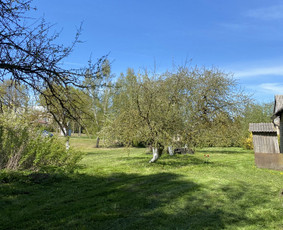 Žolės pjovimas / Aplinkos priežiūros darbai / Daimonas Ambrazas / Darbų pavyzdys ID 2748109