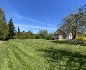 Žolės pjovimas / Aplinkos priežiūros darbai / Daimonas Ambrazas / Darbų pavyzdys ID 2748115