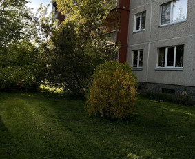 Žolės pjovimas / Aplinkos priežiūros darbai / Daimonas Ambrazas / Darbų pavyzdys ID 2748123