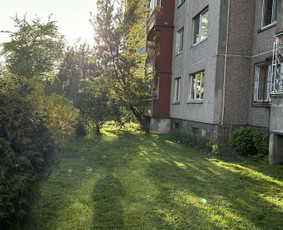 Žolės pjovimas / Aplinkos priežiūros darbai / Daimonas Ambrazas / Darbų pavyzdys ID 2748129
