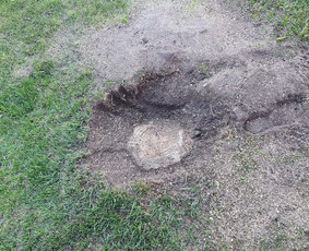 Su maža kelmapjiove turime galimybes visur atlikti darba. Kelma išpjiauna apie 20cm. ir nesugadiname vejos, kai ta padaro sunki technika.
