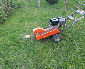 Medžių genėjimas, Medžių pjiovimas / Alytaus medkirtys / Darbų pavyzdys ID 2748557