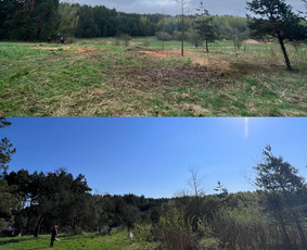 Medžių pjovimas-genėjimas - Šakų smulkinimas - 1 Šakų smulkinimas - Medžių pjovimas-genėjimas - 1