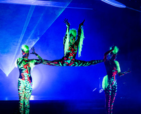 Talentas,Grožis, Kokybė, Tobulumas ... tai Diamonds SHOW!
Pasiilgai nenumaldomo širdies virpulio?! Kraują stingdančių pojūčių?...
Mes Jūsų šventes paversime įsimintinomis amžiams.