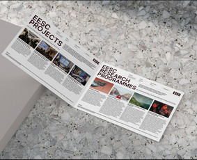 Web dizainas / Vizualinis Identitetas - Spaudos maketų gamyba - 1 Spaudos maketų gamyba - Web dizainas / Vizualinis Identitetas - 1