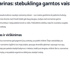 Tekstų interneto svetainėms kūrimas - Įvairūs tekstai (ir Seo) vos nuo 3&euro; už vnt.! - 4