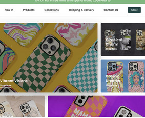 Mokėjimo sistemų pajungimas - Tinklapių kurimas, E-shop kurimas, Programavimas - 1